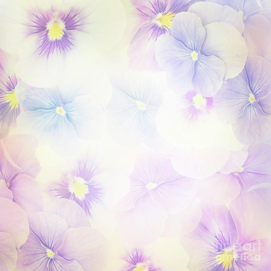 Detail Background Violet Nomer 42