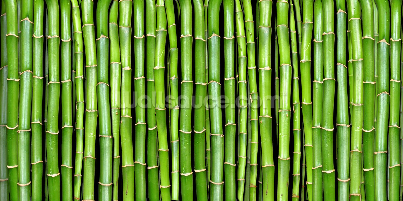 Detail Background Wallpaper Bambu Nomer 2