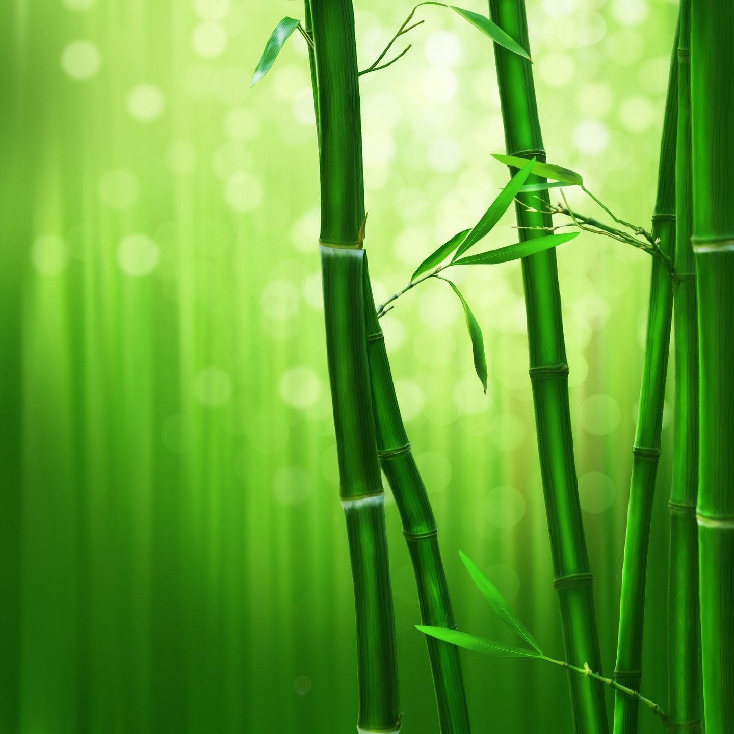 Detail Background Wallpaper Bambu Nomer 46