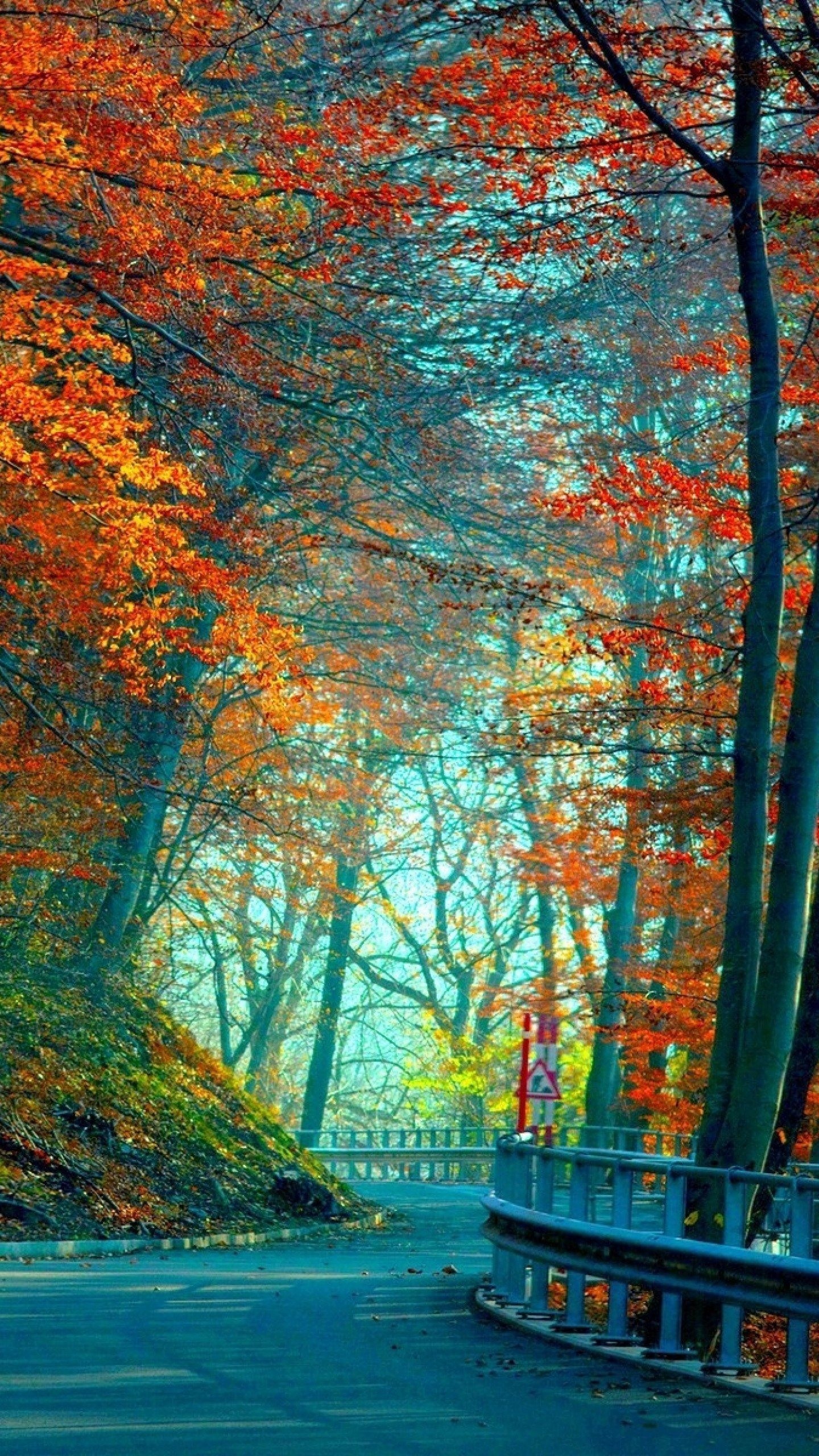 Detail Background Wallpaper Download Nomer 15