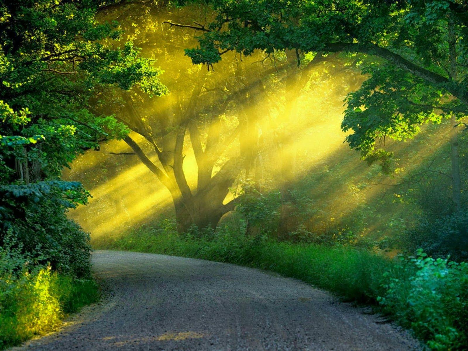 Detail Background Wallpaper Download Nomer 30