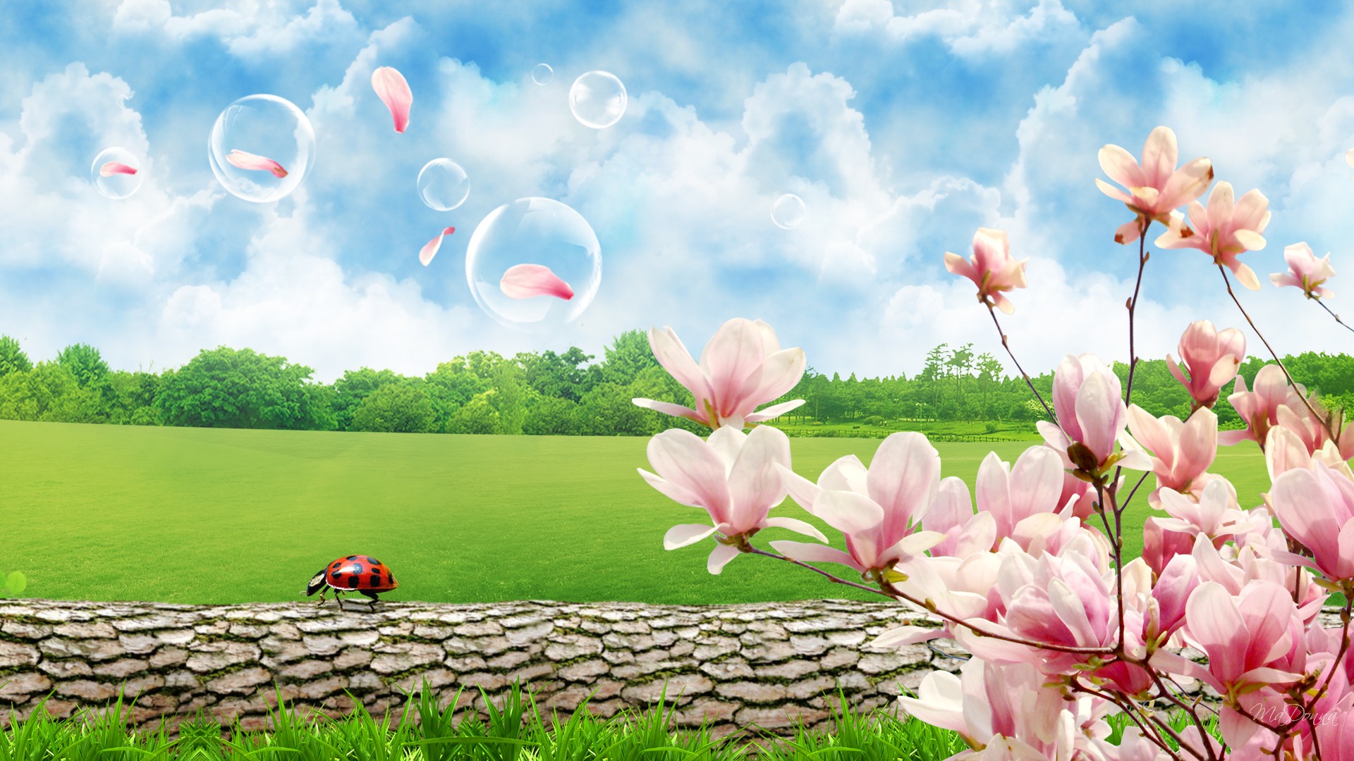 Detail Background Wallpaper Download Nomer 45