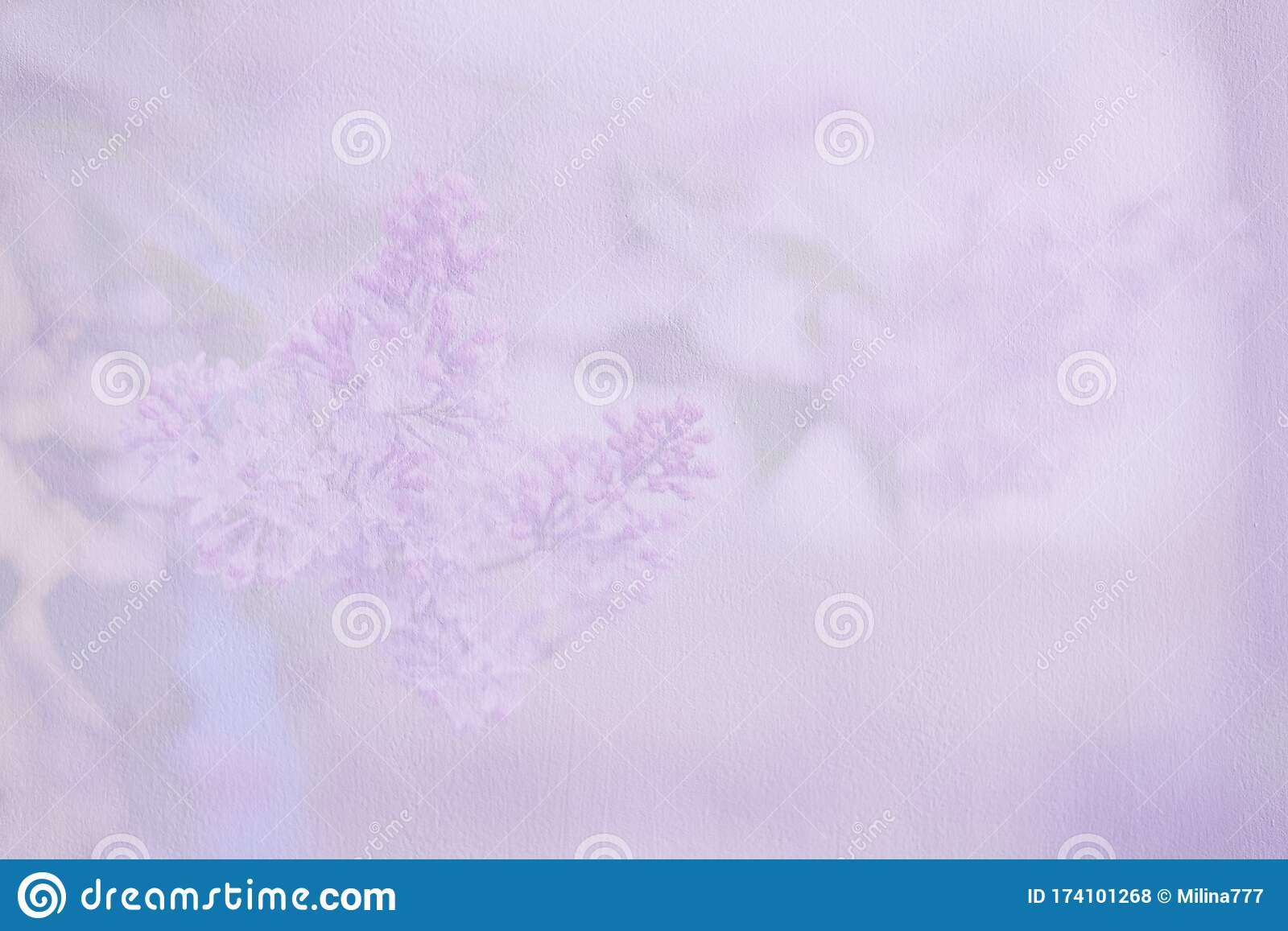 Detail Background Warna Lilac Nomer 32
