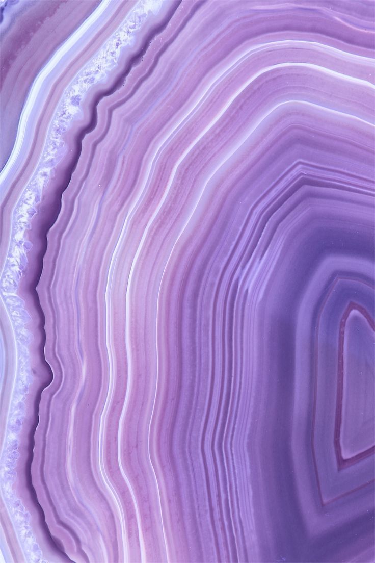 Detail Background Warna Lilac Nomer 35