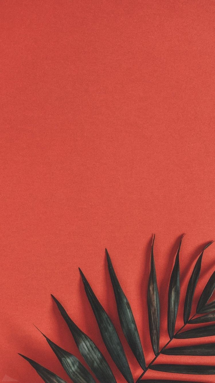 Detail Background Warna Merah Maroon Nomer 15