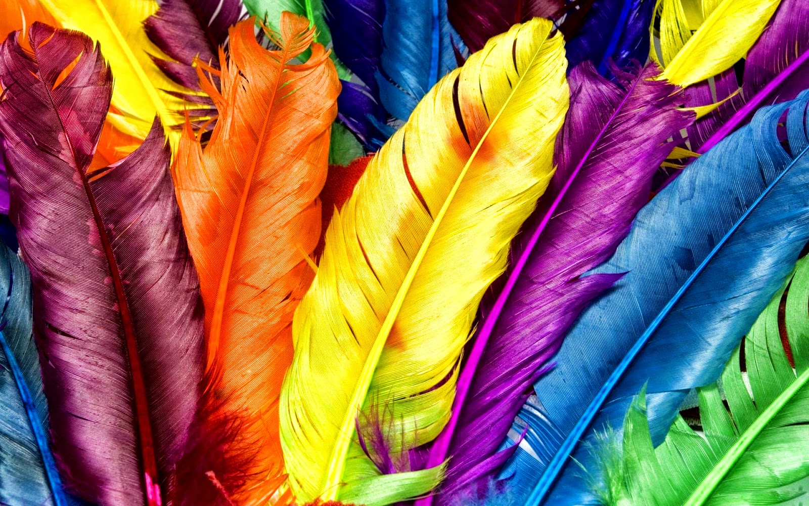 Detail Background Warna Warni Keren Nomer 7