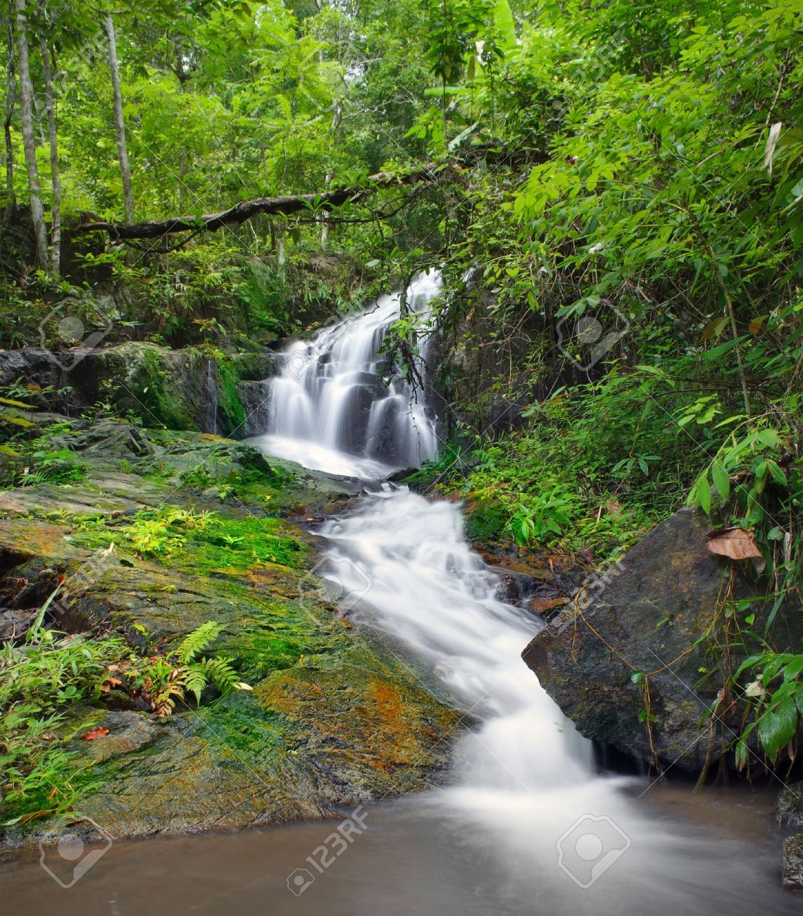 Detail Background Waterfall Nomer 47