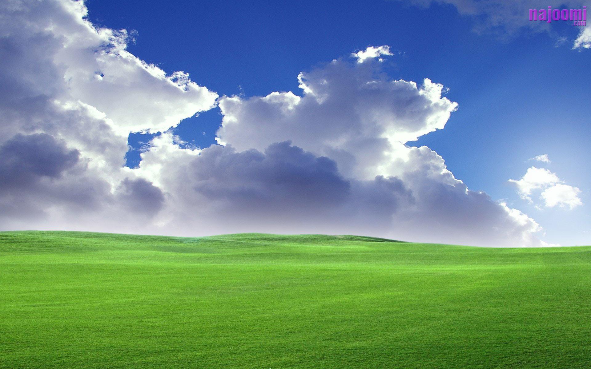 Detail Background Windows Xp Nomer 11