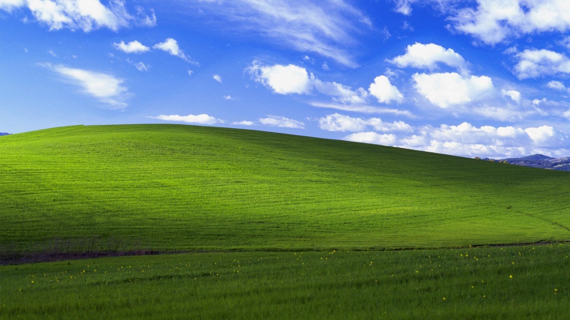 Detail Background Windows Xp Nomer 3