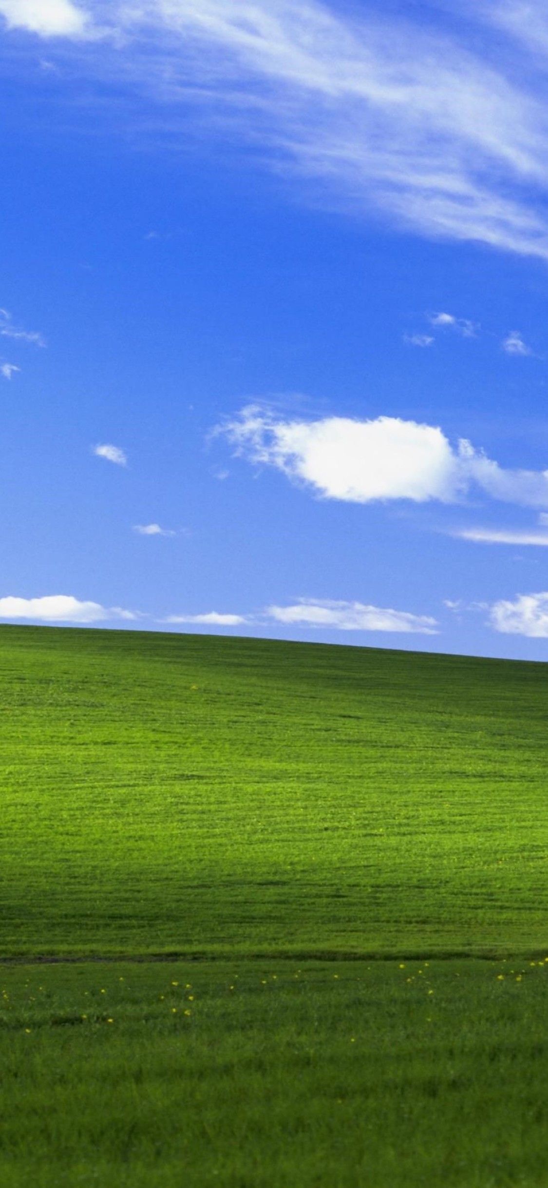 Detail Background Windows Xp Nomer 27