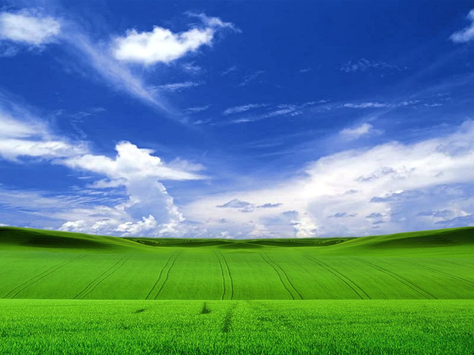 Detail Background Windows Xp Nomer 48