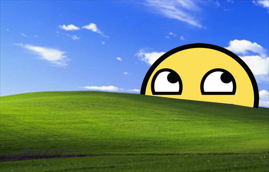 Detail Background Windows Xp Nomer 57