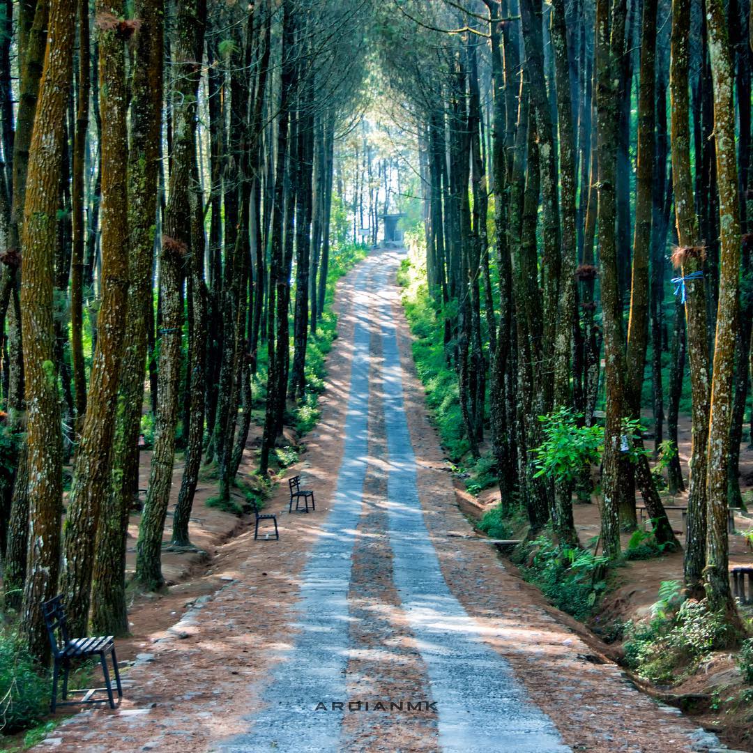 Detail Background Wisata Nomer 12