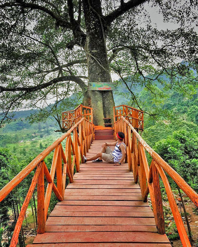 Detail Background Wisata Nomer 18