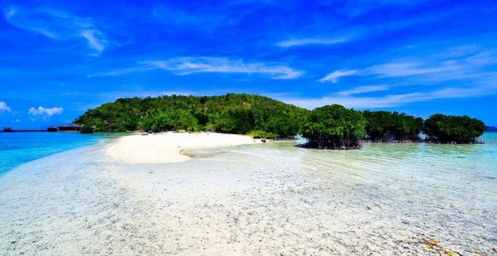 Detail Background Wisata Nomer 36