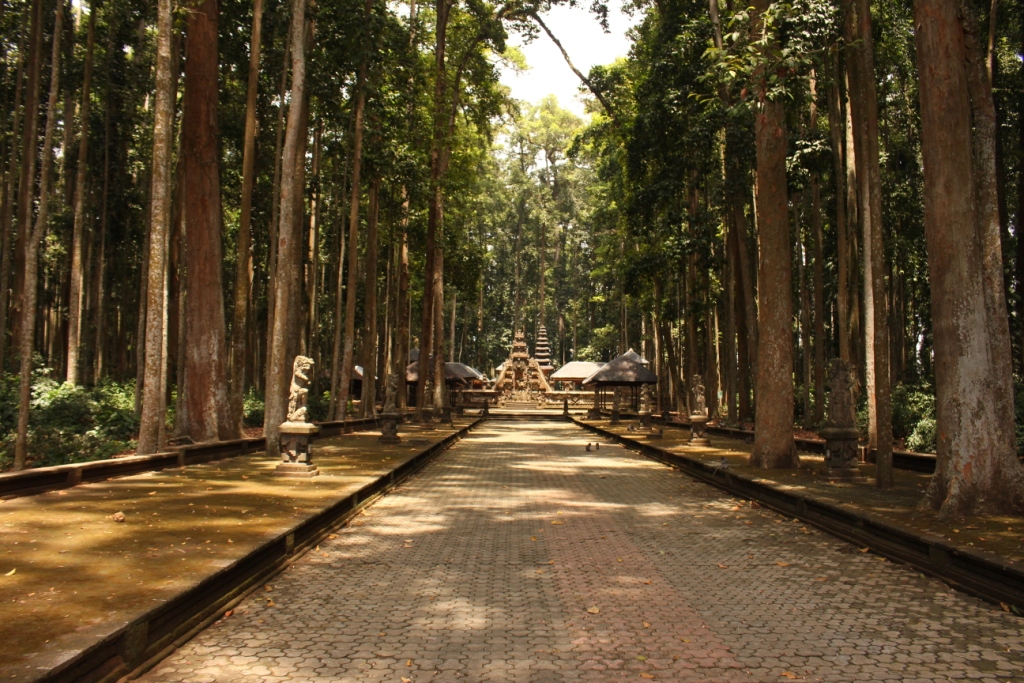 Detail Background Wisata Nomer 39