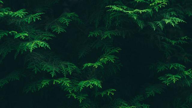 Detail Background Yang Bagus Untuk Powerpoint Nomer 47