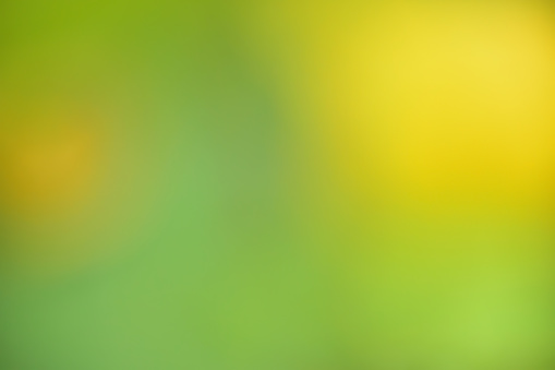 Detail Background Yellow Green Nomer 11