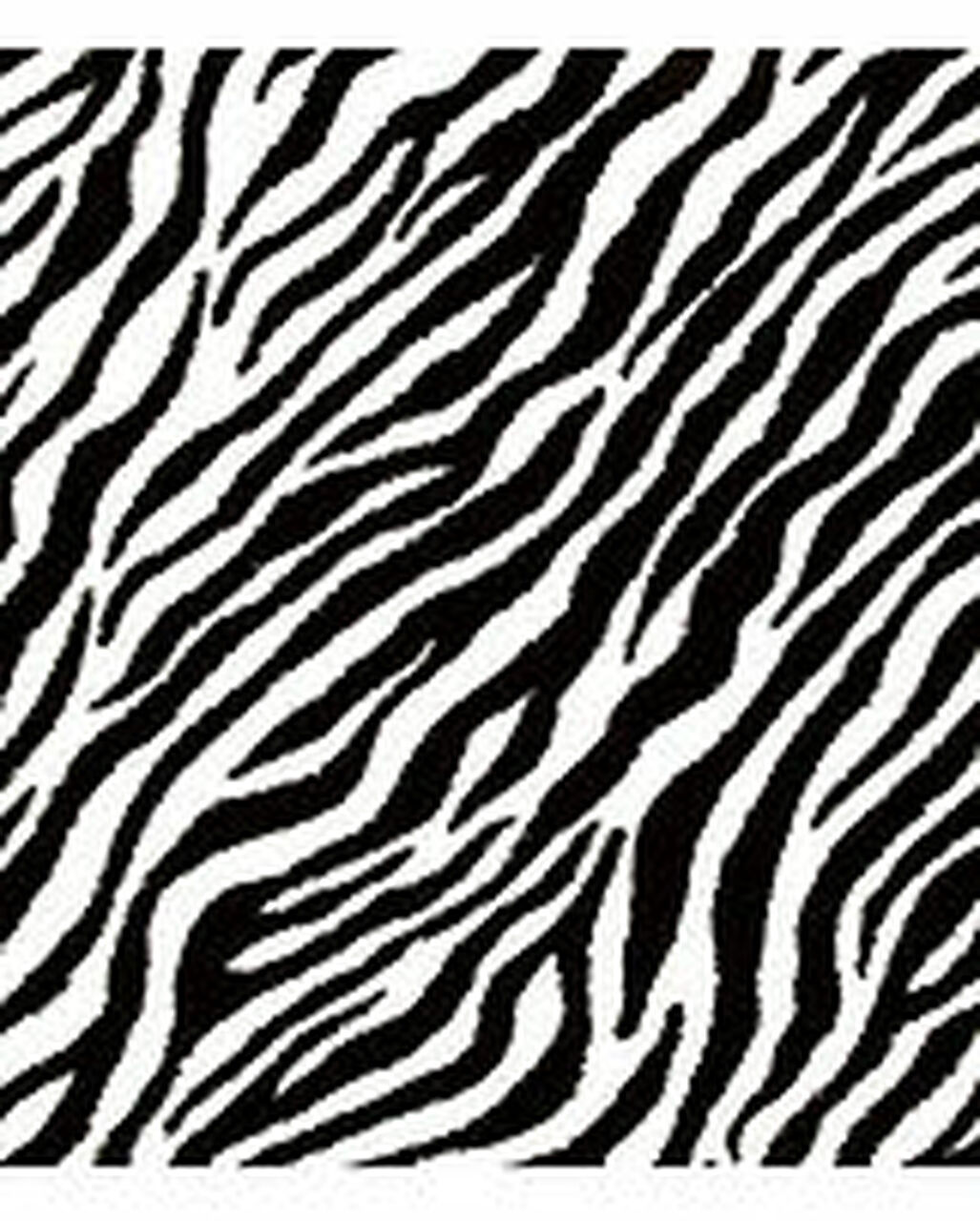 Background Zebra - KibrisPDR