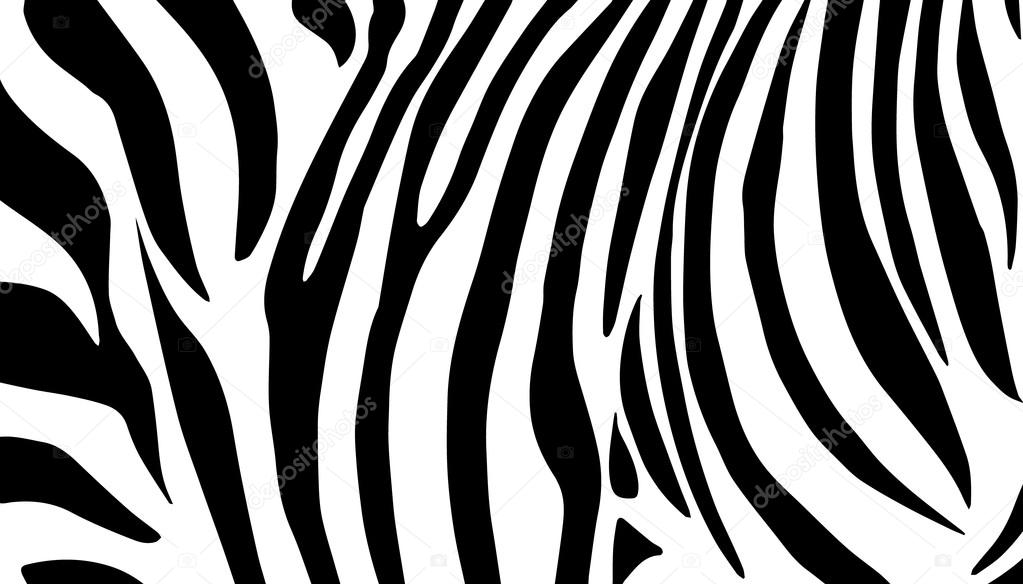 Detail Background Zebra Nomer 11