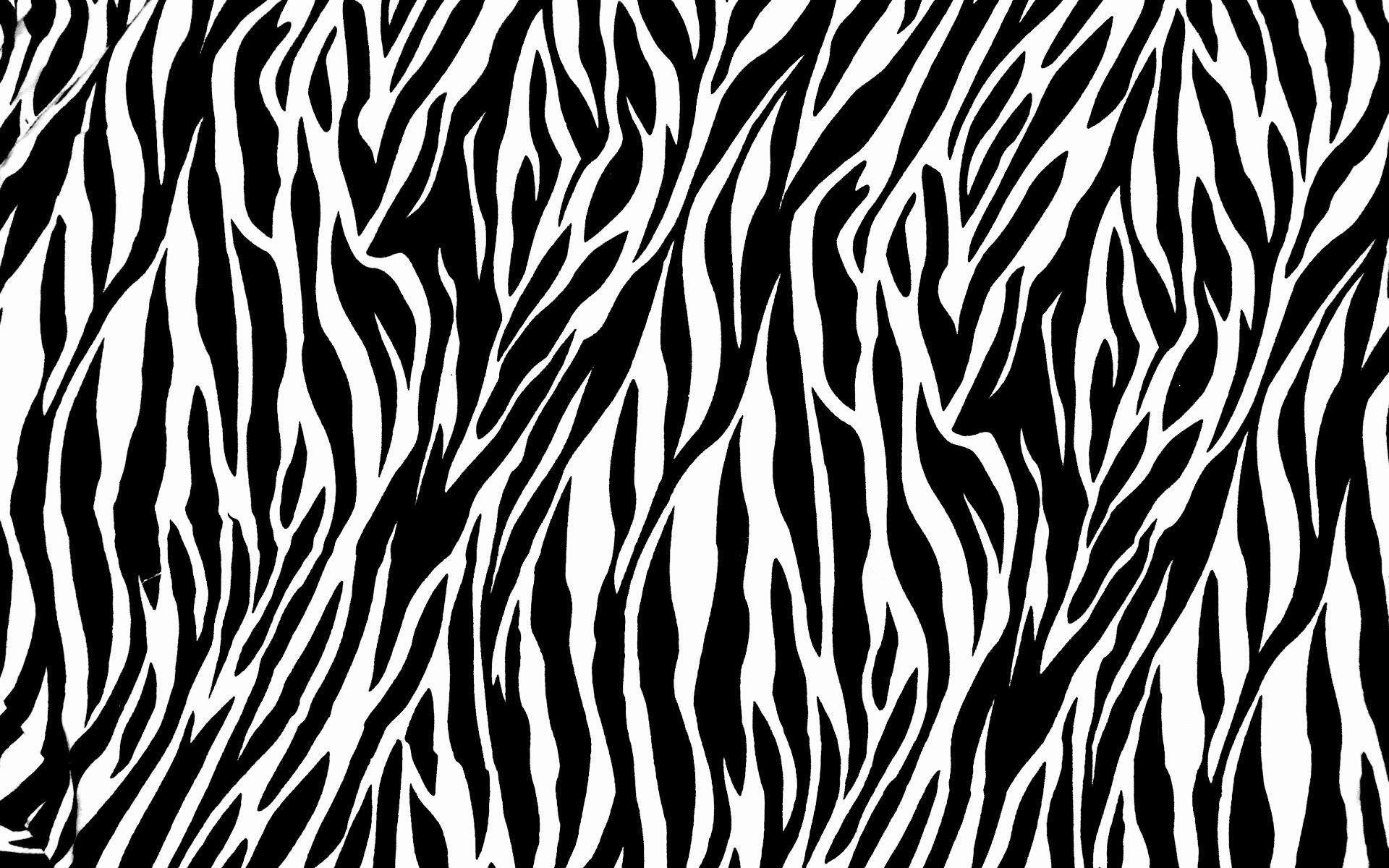 Detail Background Zebra Nomer 14