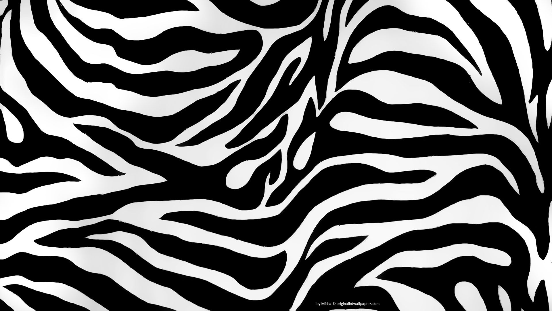 Detail Background Zebra Nomer 16