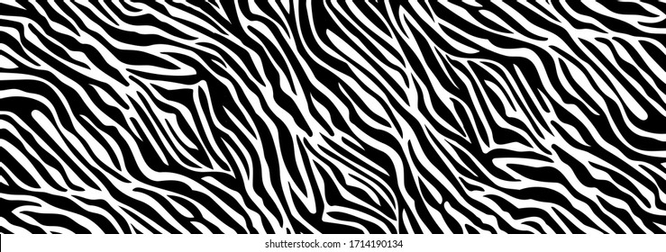 Detail Background Zebra Nomer 26