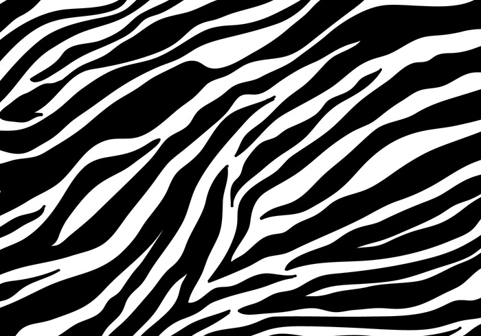 Detail Background Zebra Nomer 32