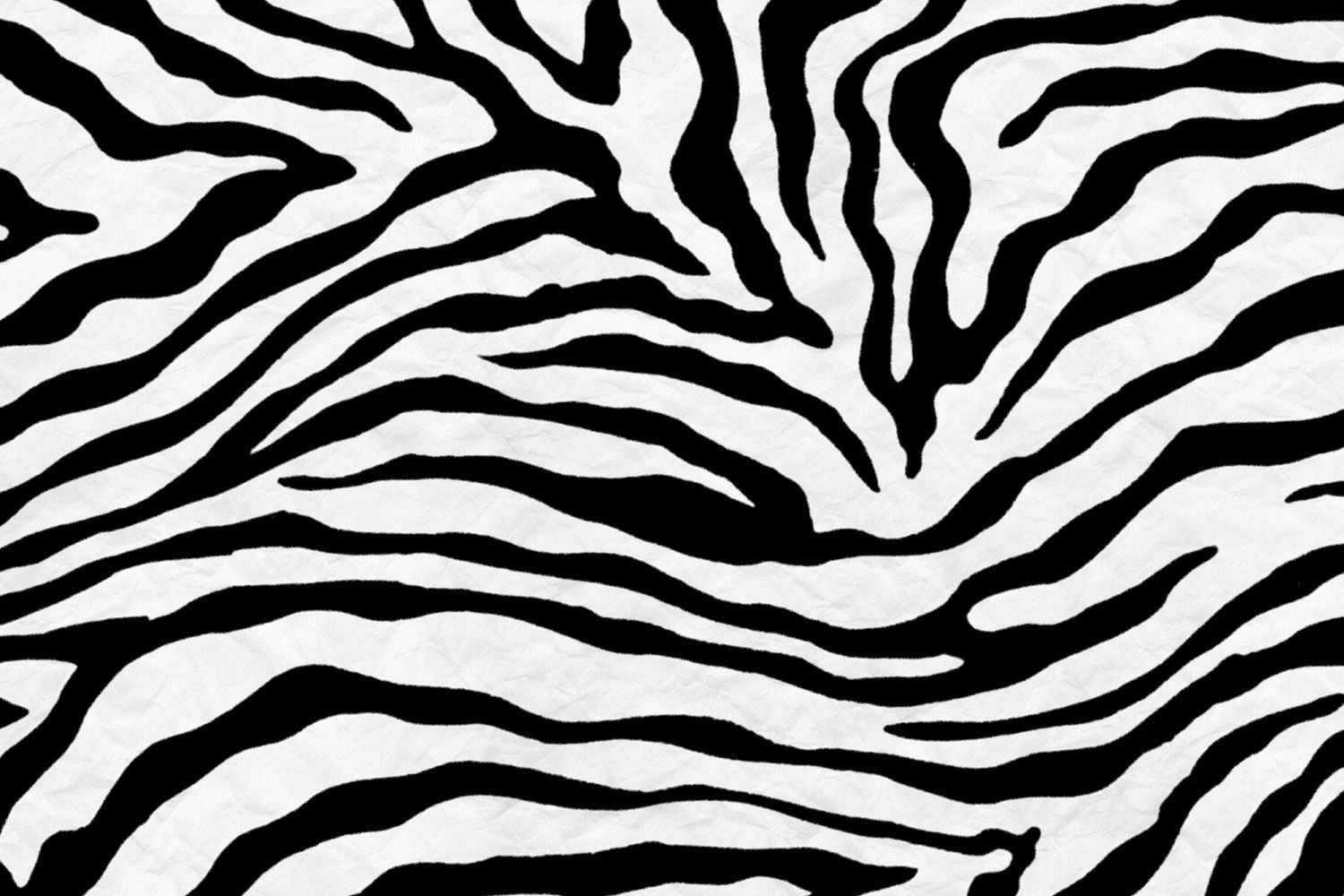 Detail Background Zebra Nomer 5