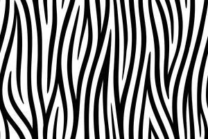 Detail Background Zebra Nomer 46