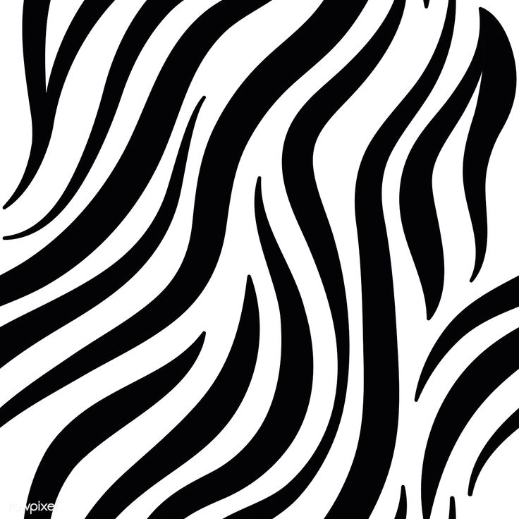 Detail Background Zebra Nomer 49