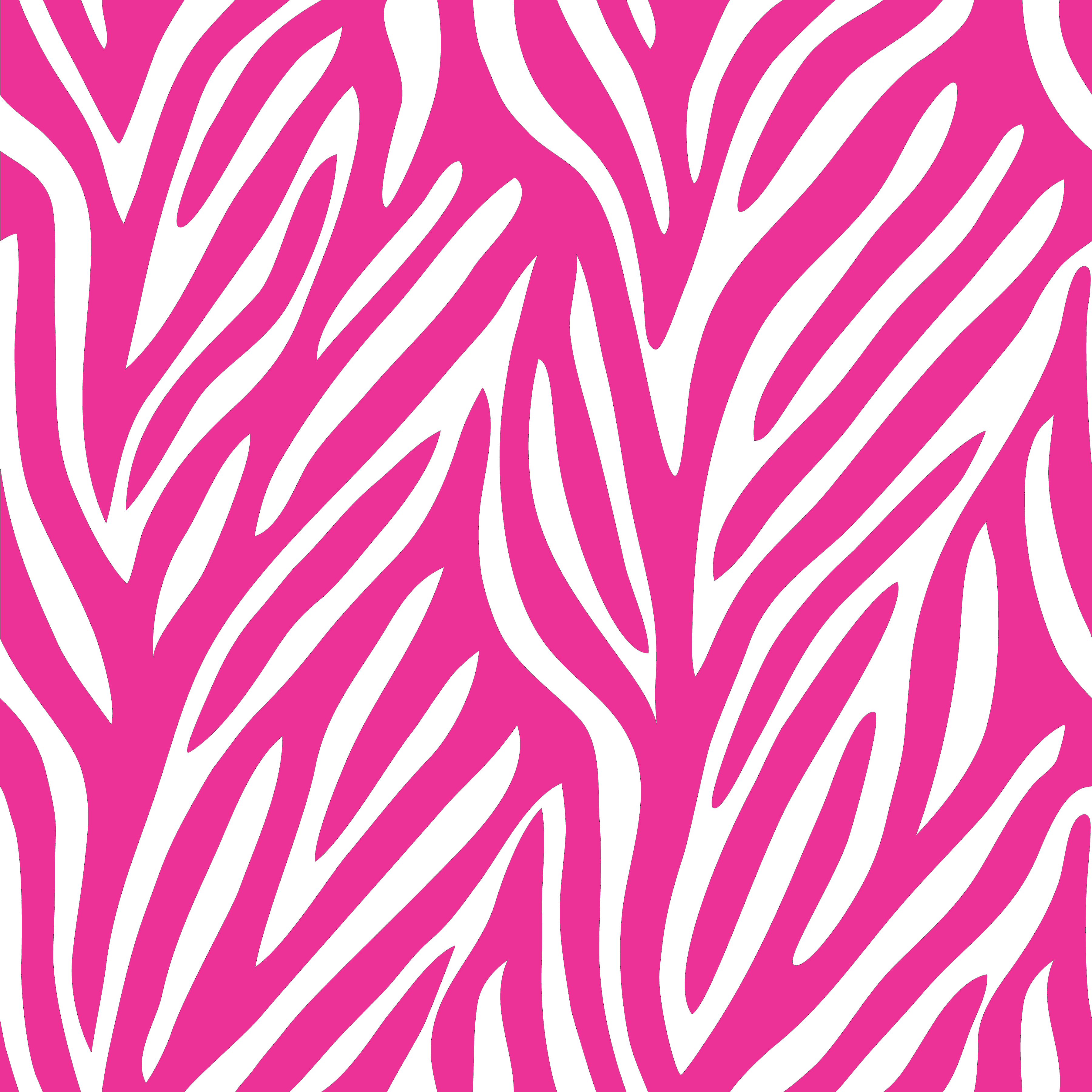 Detail Background Zebra Nomer 50