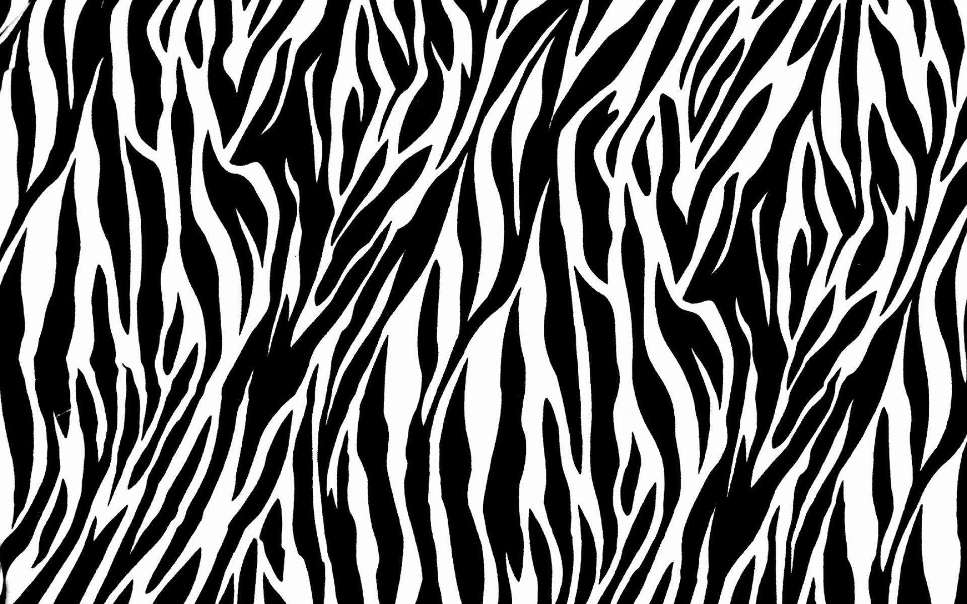 Detail Background Zebra Nomer 9