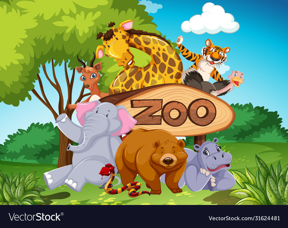 Detail Background Zoo Nomer 16