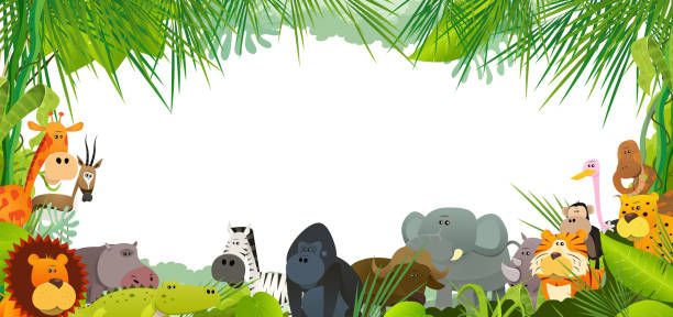 Detail Background Zoo Nomer 7