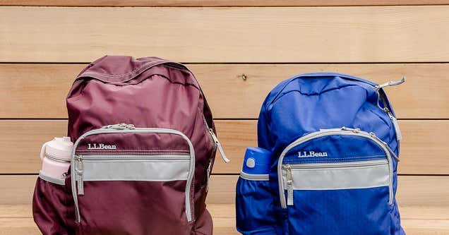 Detail Backpacks Images Nomer 53