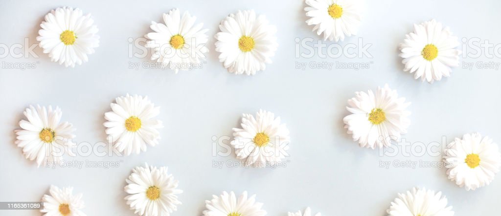 Detail Backround Bunga Nomer 27