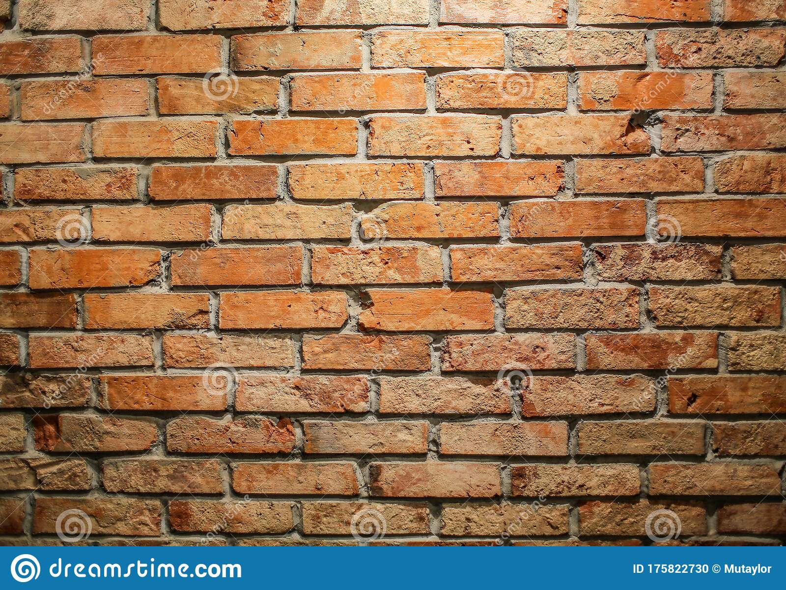 Detail Backround Cafe Nomer 57