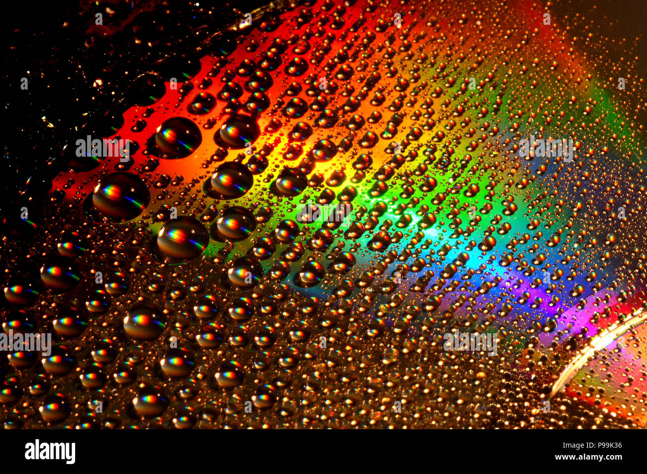 Detail Backround Full Colour Nomer 51