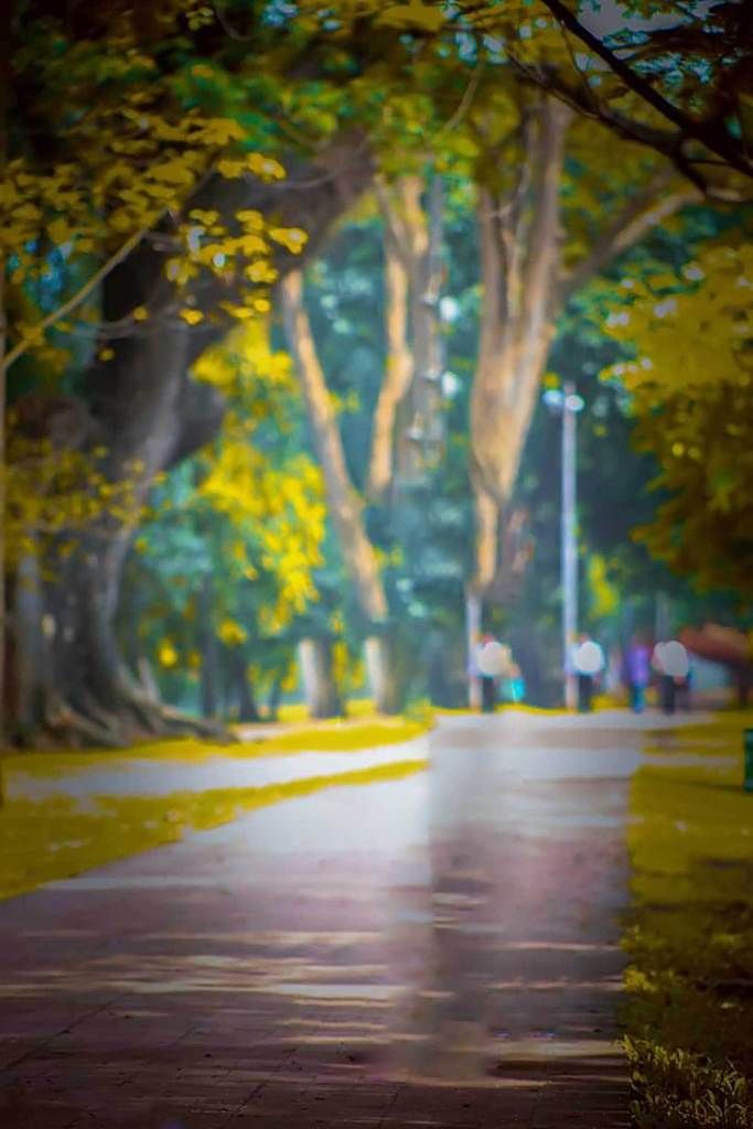 Detail Backround Hd Nomer 10