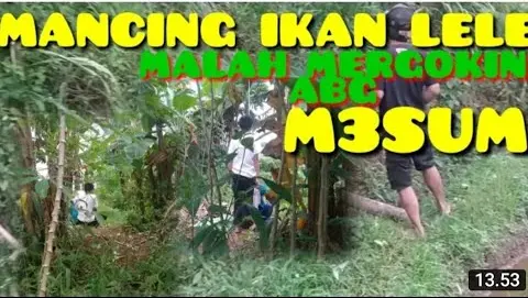 Detail Backsound Hutan Nomer 26