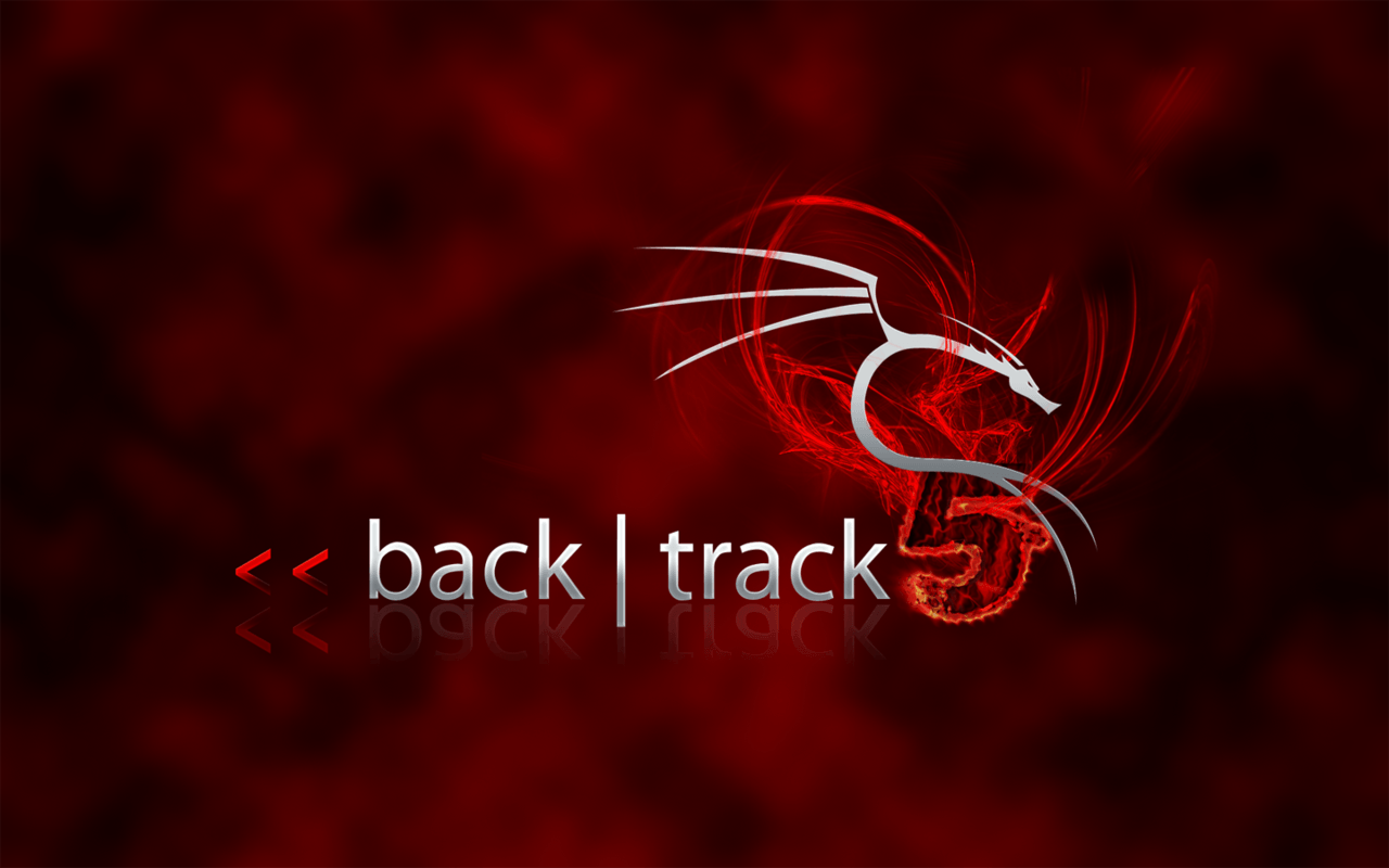 Detail Backtrack Wallpaper Nomer 3