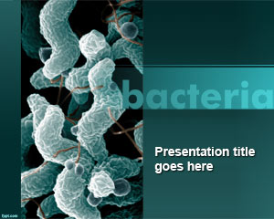 Detail Bacteria Background For Powerpoint Nomer 17