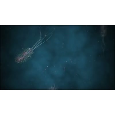 Detail Bacteria Background For Powerpoint Nomer 20