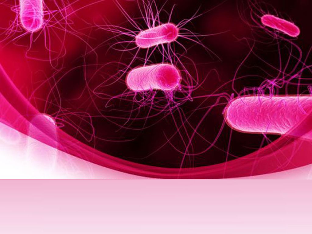 Detail Bacteria Background For Powerpoint Nomer 5