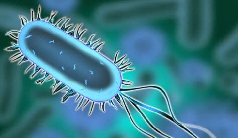 Detail Bacteria Background For Powerpoint Nomer 38