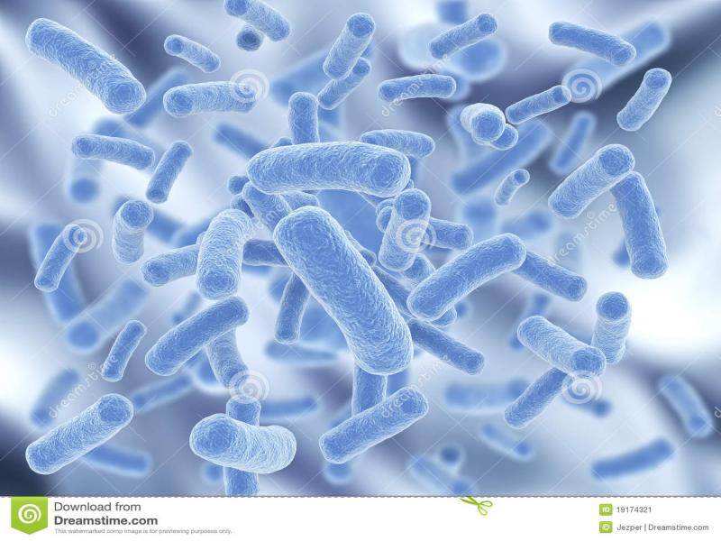 Detail Bacteria Background For Powerpoint Nomer 9