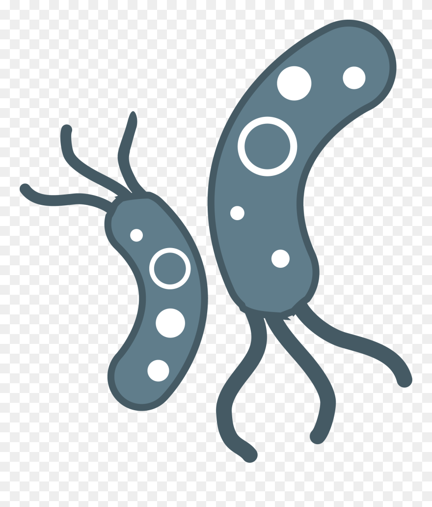 Detail Bacteria Clipart Nomer 22