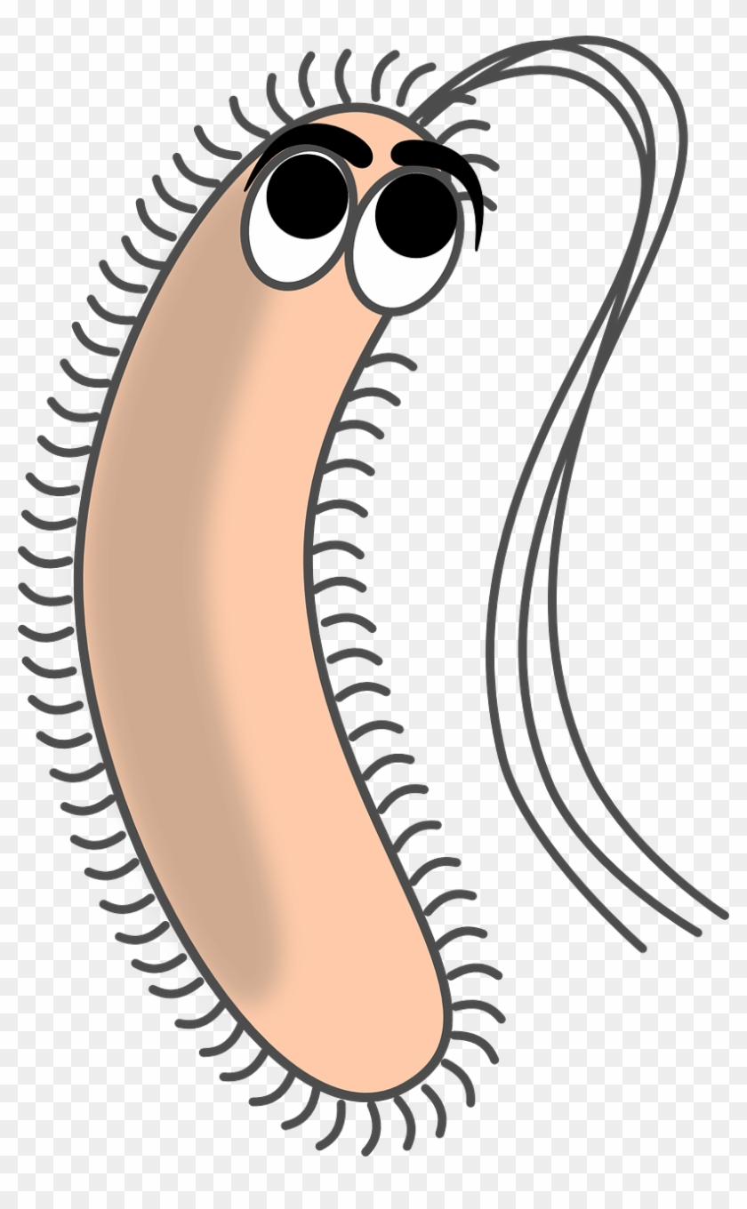 Detail Bacteria Clipart Nomer 34