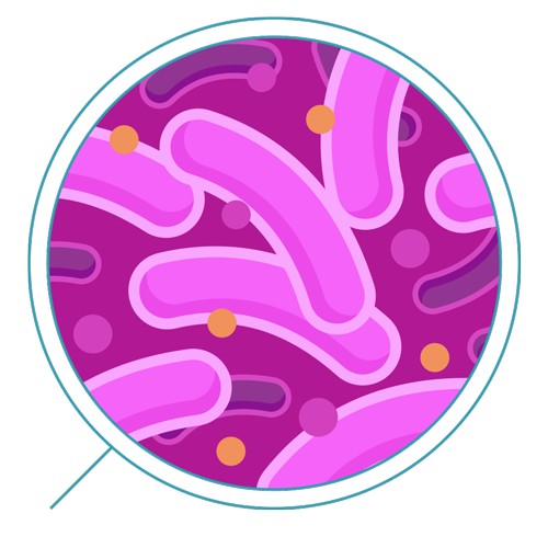 Detail Bacteria No Background Nomer 27